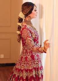 ASMIRA - Client Diary III