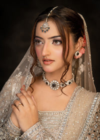 TARA - Client Diary V