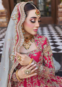 INARA - Client Diary II