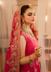 AROHE - Client Diary