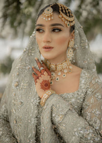 ESRA - Client Diary I