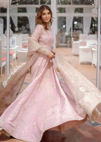 Inaya - Client Diary