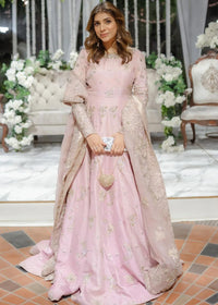 Inaya - Client Diary