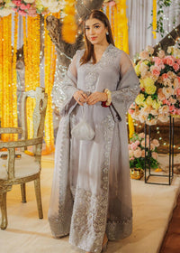 Carina - Client Diary