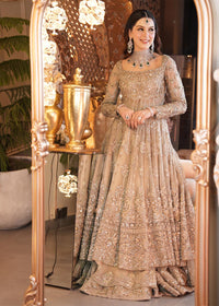 ESRA - Client Diary X