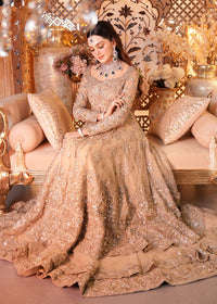 ESRA - Client Diary X