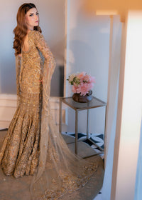 TAIA - Client Diary II