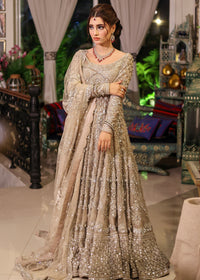 TARA - Client Diary VII