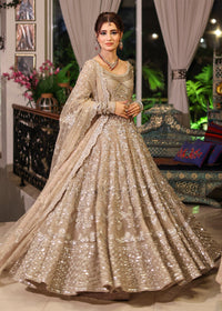 TARA - Client Diary VII