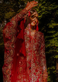 MAAHRU - Client Diary V