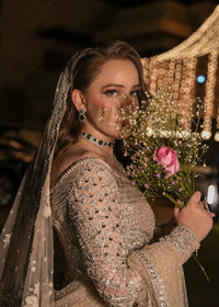 TARA - Client Diary VI