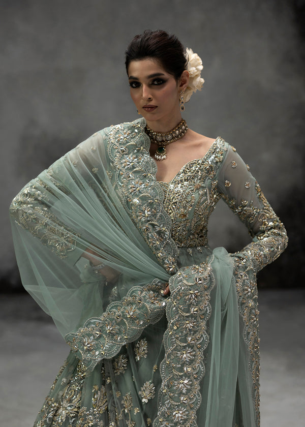 ELANI