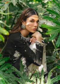 Senka