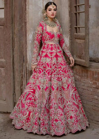 INARA - Client Diary IV