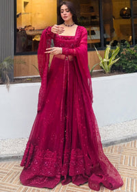 Veronica - Client Diary