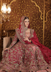 MAAHRU - Client Diary VI