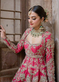 INARA - Client Diary IV