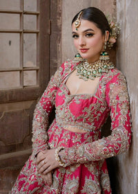 INARA - Client Diary IV