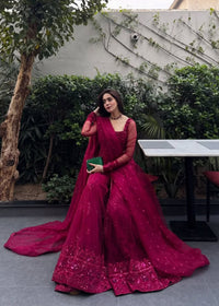 Veronica - Client Diary