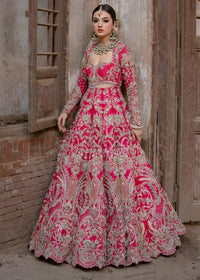 INARA - Client Diary IV