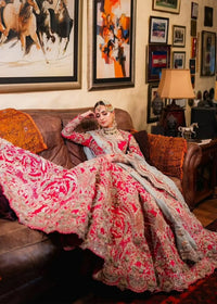 INARA - Client Diary V