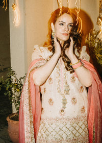 Maana - Client Diary