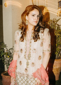 Maana - Client Diary