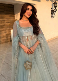 Nazneen - Client Diary II